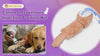 Canine Leg IV Injection Training Kit Practice Vedio Guide